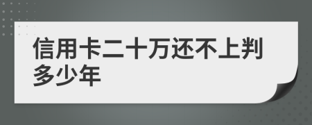 信用卡二十万还不上判多少年