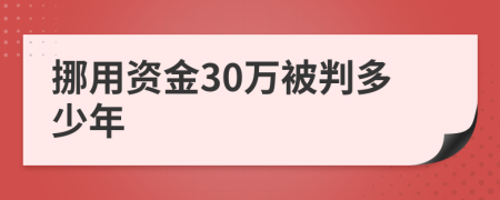 挪用资金30万被判多少年