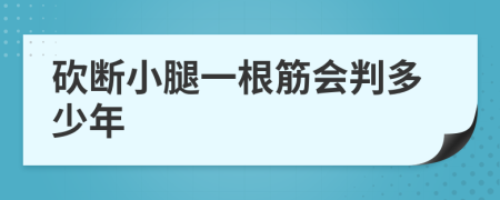 砍断小腿一根筋会判多少年