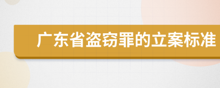 广东省盗窃罪的立案标准