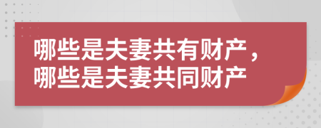 哪些是夫妻共有财产，哪些是夫妻共同财产