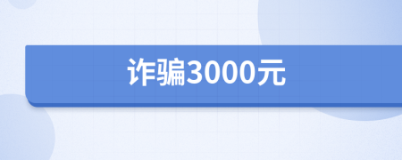 诈骗3000元