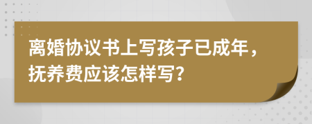 离婚协议书上写孩子已成年，抚养费应该怎样写？