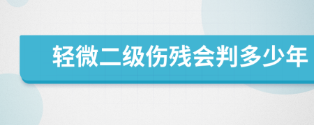 轻微二级伤残会判多少年