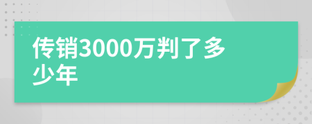 传销3000万判了多少年