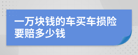 一万块钱的车买车损险要赔多少钱