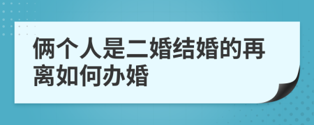俩个人是二婚结婚的再离如何办婚
