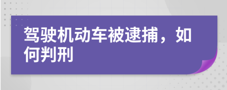 驾驶机动车被逮捕，如何判刑