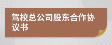 驾校总公司股东合作协议书