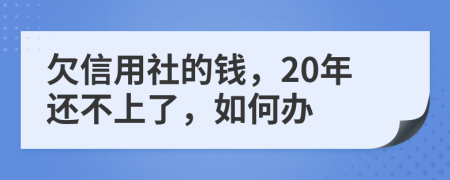 欠信用社的钱，20年还不上了，如何办