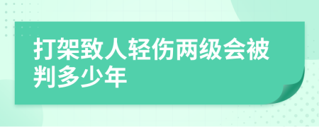 打架致人轻伤两级会被判多少年