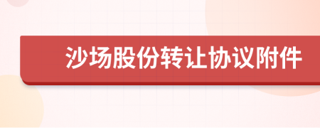 沙场股份转让协议附件