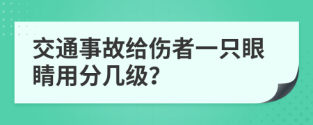 交通事故给伤者一只眼睛用分几级？