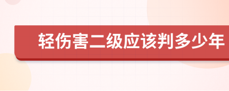 轻伤害二级应该判多少年