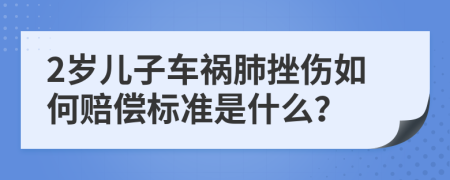 2岁儿子车祸肺挫伤如何赔偿标准是什么？