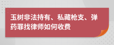 玉树非法持有、私藏枪支、弹药罪找律师如何收费