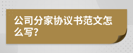 公司分家协议书范文怎么写？