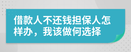 借款人不还钱担保人怎样办，我该做何选择