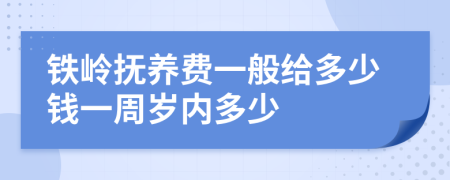 铁岭抚养费一般给多少钱一周岁内多少