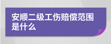 安顺二级工伤赔偿范围是什么