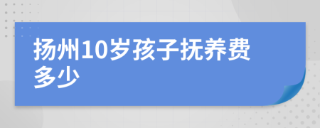 扬州10岁孩子抚养费多少