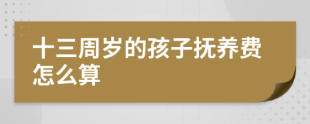 十三周岁的孩子抚养费怎么算