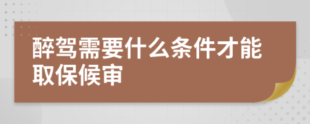 醉驾需要什么条件才能取保候审