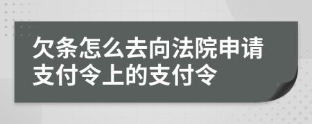 欠条怎么去向法院申请支付令上的支付令