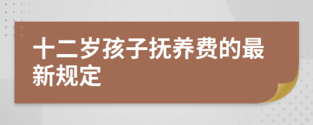 十二岁孩子抚养费的最新规定