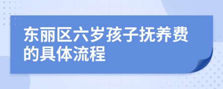 东丽区六岁孩子抚养费的具体流程
