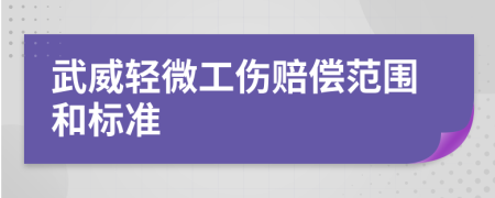 武威轻微工伤赔偿范围和标准