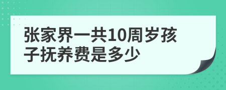 张家界一共10周岁孩子抚养费是多少