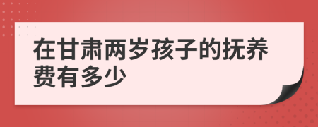 在甘肃两岁孩子的抚养费有多少