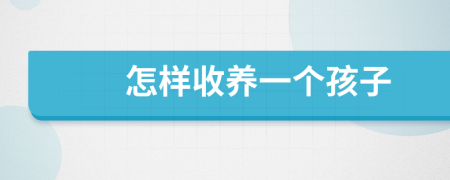 怎样收养一个孩子