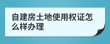 自建房土地使用权证怎么样办理