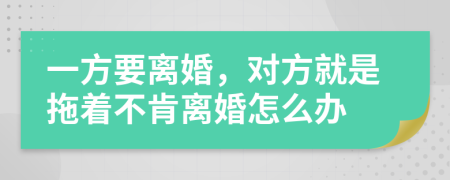 一方要离婚，对方就是拖着不肯离婚怎么办