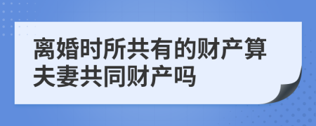 离婚时所共有的财产算夫妻共同财产吗