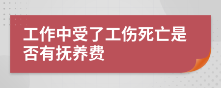 工作中受了工伤死亡是否有抚养费