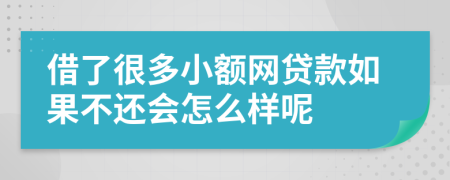 借了很多小额网贷款如果不还会怎么样呢