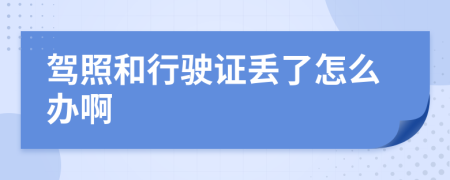 驾照和行驶证丢了怎么办啊