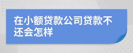 在小额贷款公司贷款不还会怎样