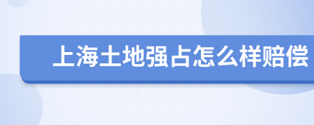 上海土地强占怎么样赔偿