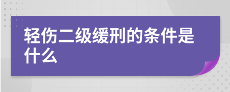 轻伤二级缓刑的条件是什么