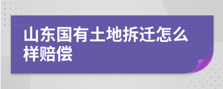 山东国有土地拆迁怎么样赔偿