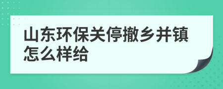 山东环保关停撤乡并镇怎么样给