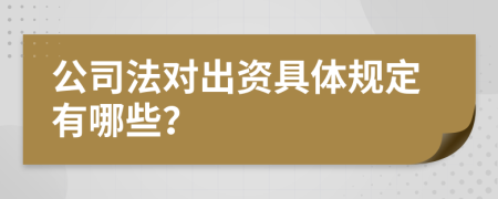 公司法对出资具体规定有哪些？