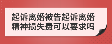 起诉离婚被告起诉离婚精神损失费可以要求吗