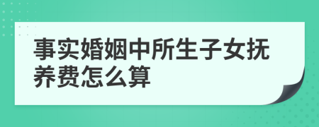 事实婚姻中所生子女抚养费怎么算
