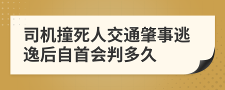 司机撞死人交通肇事逃逸后自首会判多久