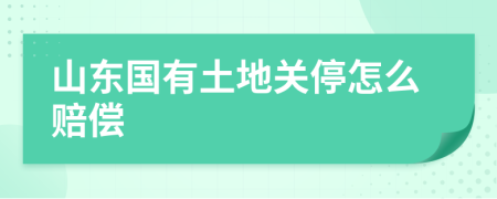 山东国有土地关停怎么赔偿